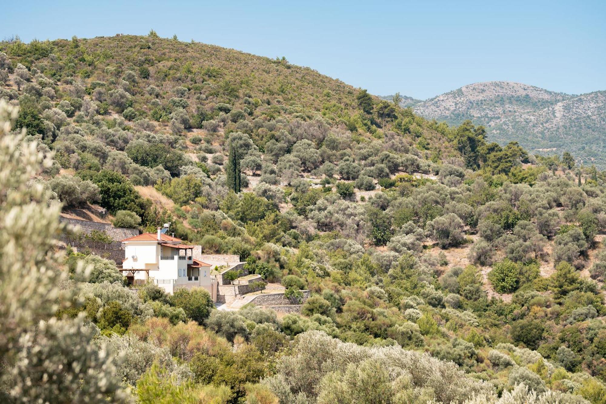 Villa Vicky Питагорио Екстериор снимка